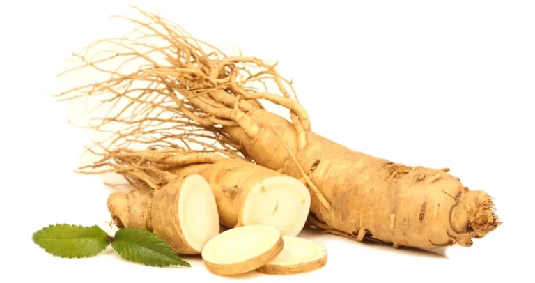 ginseng-1